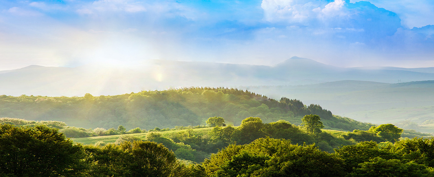  Anhui Jiangtai New Material Technology Co., Ltd.